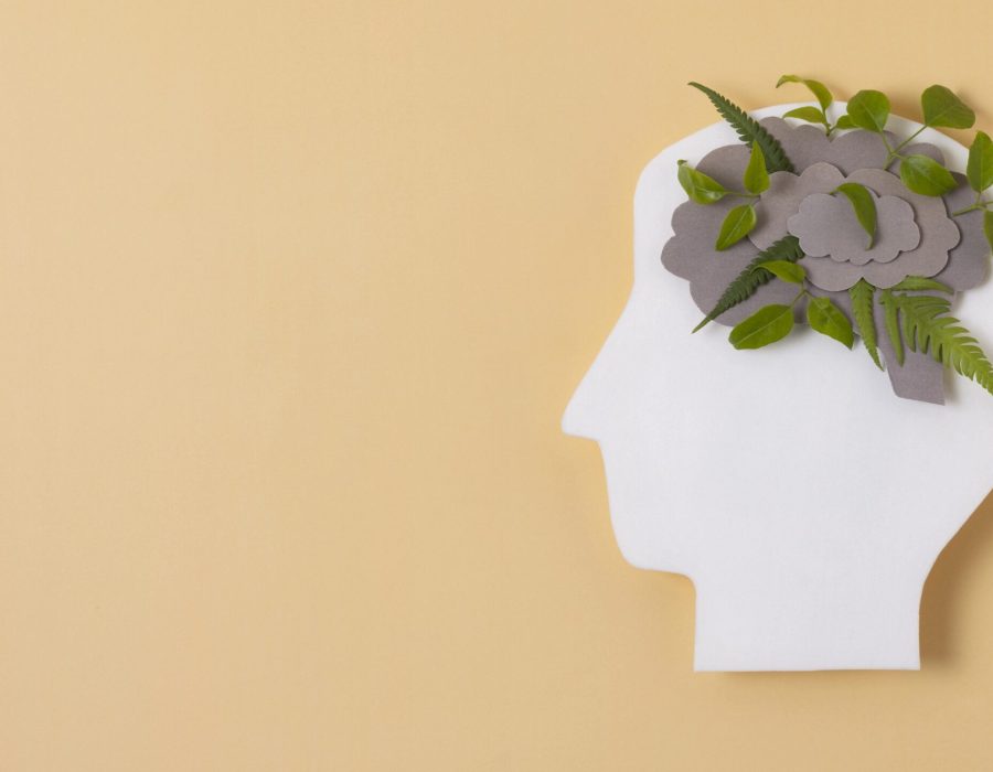 Silueta de cabeza con planta representando salud mental.